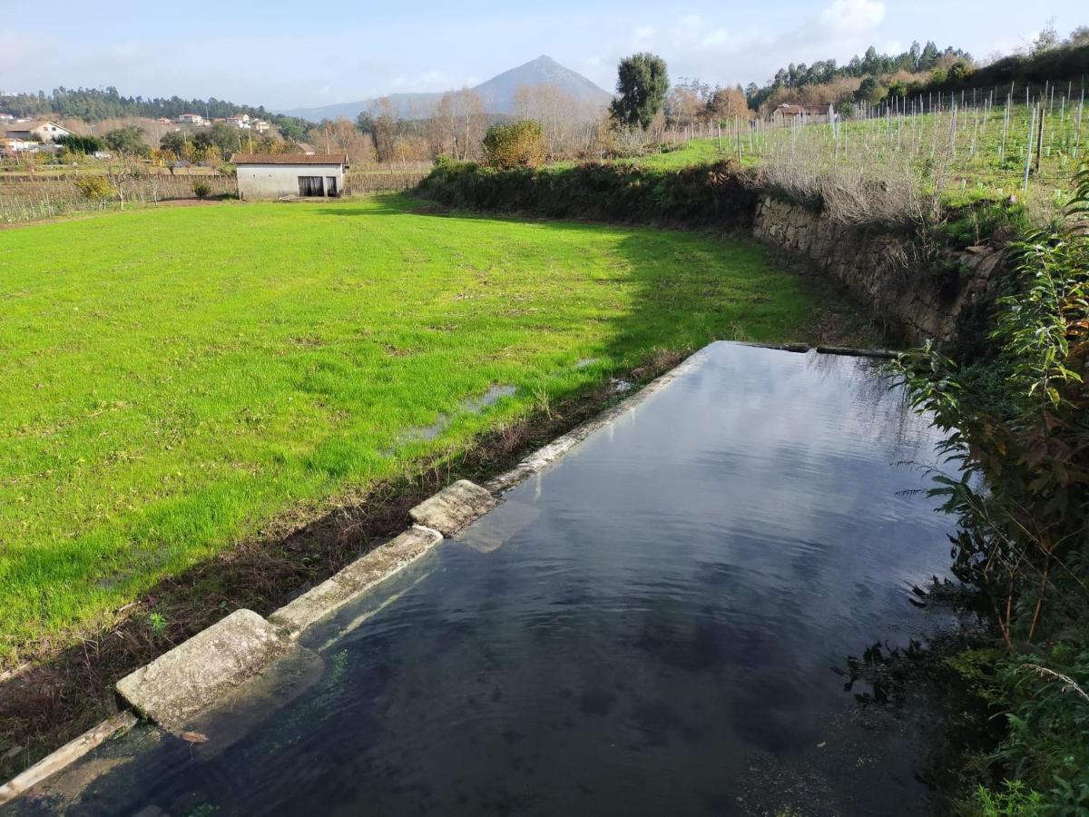 Quinta Da Lage Agroturismo E Enoturismo Celorico De Basto Bagian luar foto