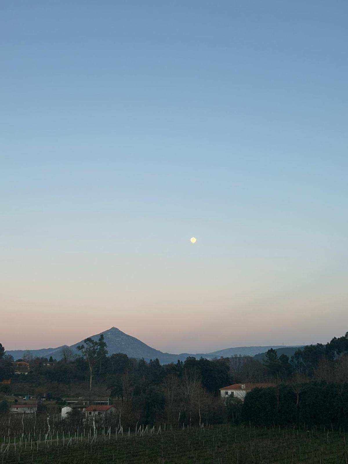 Quinta Da Lage Agroturismo E Enoturismo Celorico De Basto Bagian luar foto